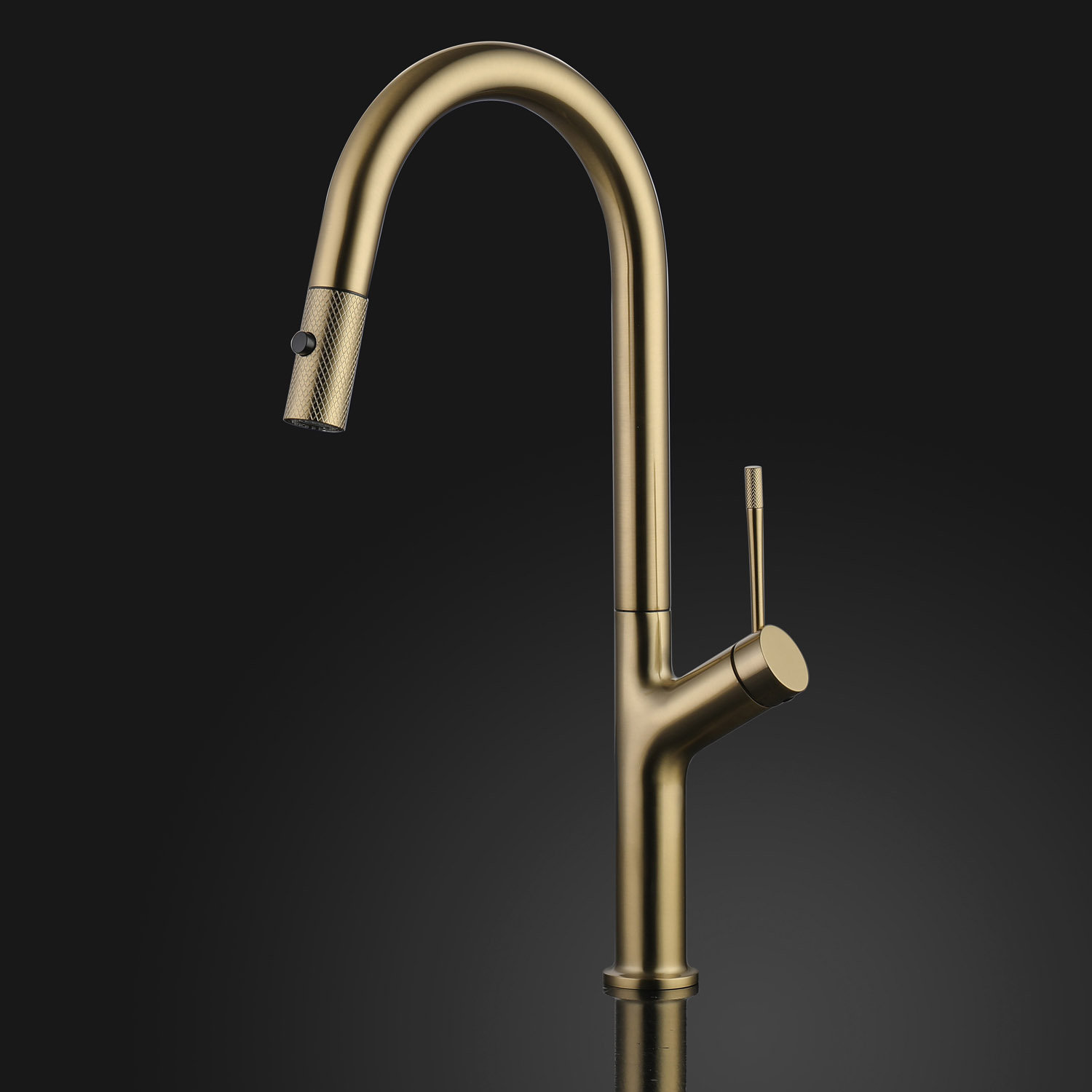 MaestroBath Palm Pull Out Single Handle Kitchen Faucet | Perigold