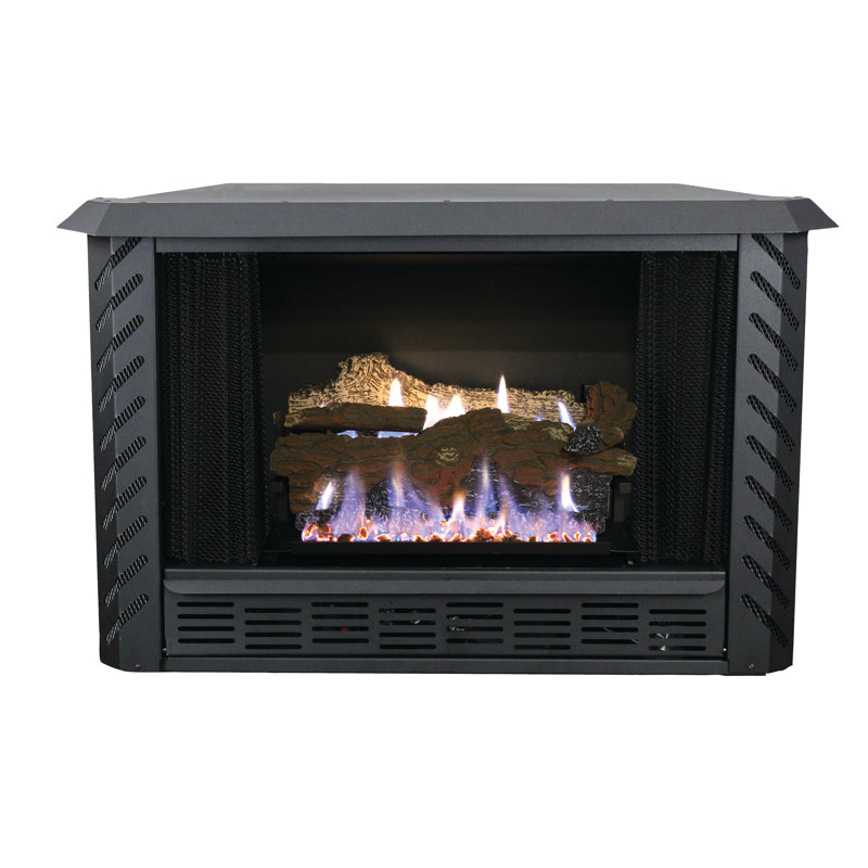 Ashley Hearth Vent Free Propane Fireplace Insert Reviews Wayfair