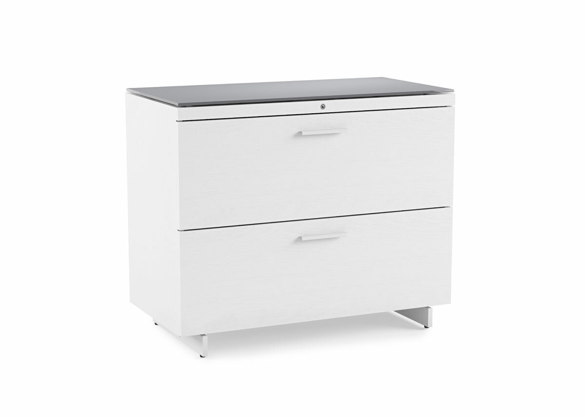 Bdi Usa Centro 2 Drawer Lateral File Cabinet Reviews Wayfair