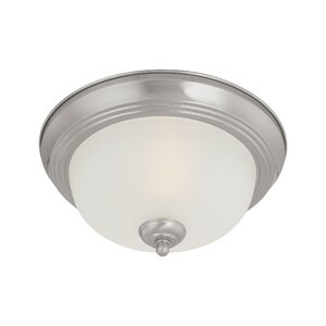 Ceiling Essentials 2-Light Flush Mount