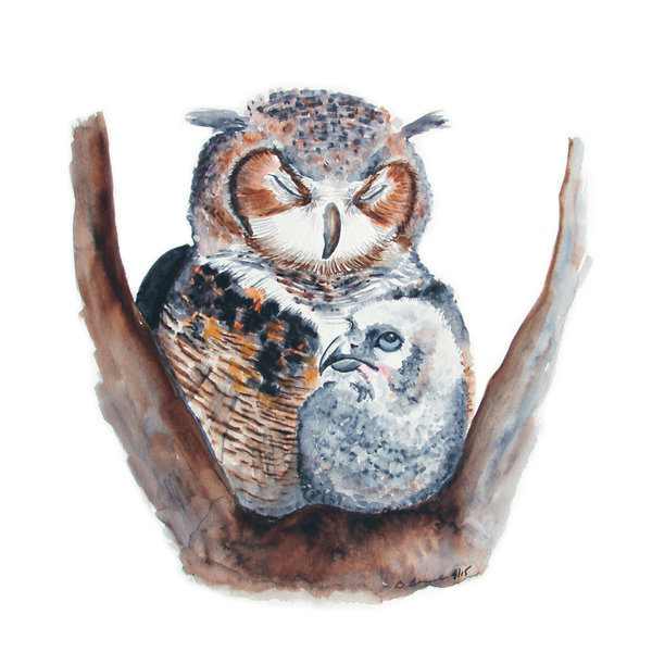 owl wall decor for nursery