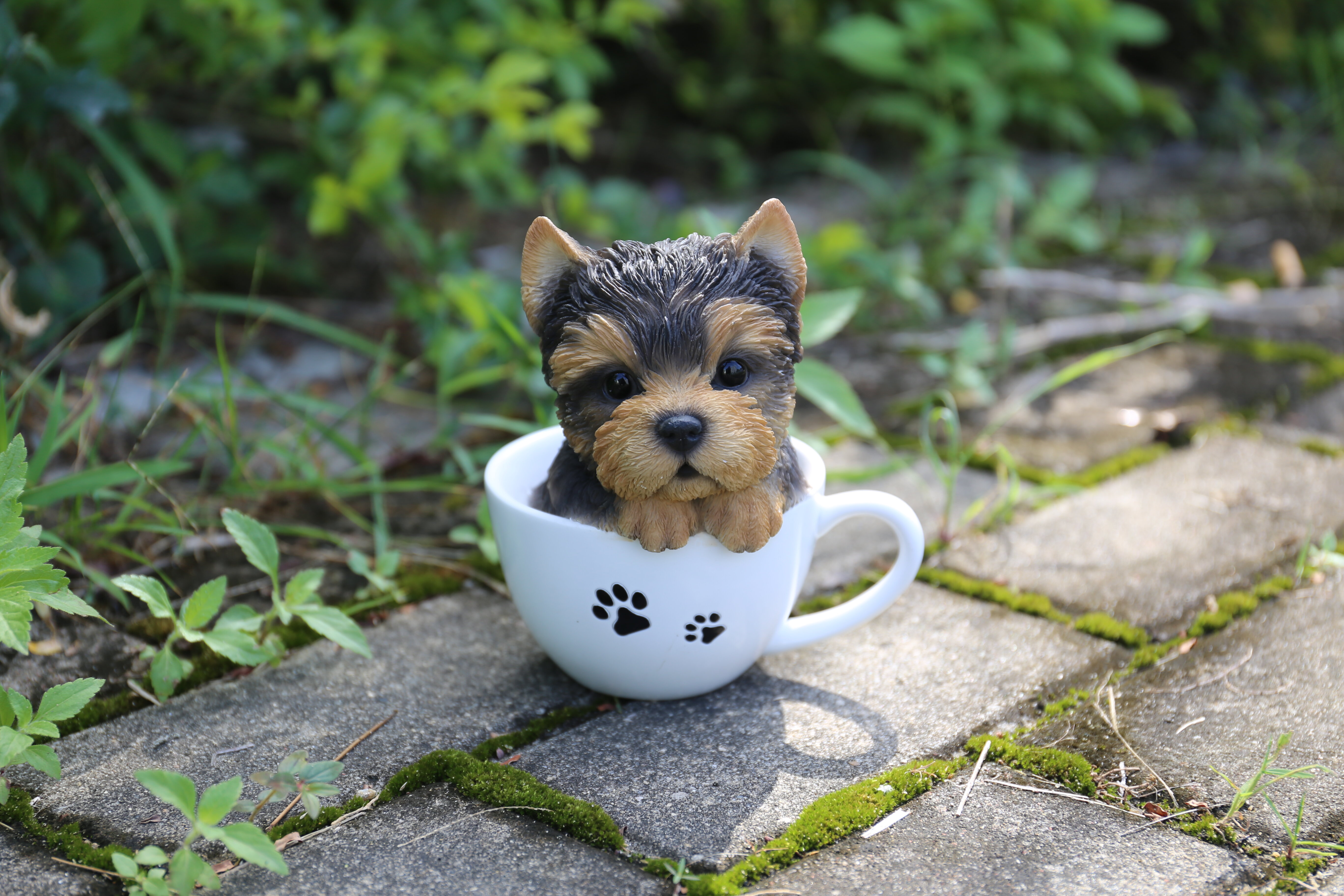 Teacup Yorkshire Terrier Puppy Statue 