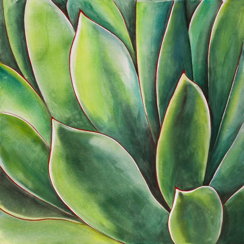Bay Isle Home Agave Plant Oil Painting Print On Wrapped Canvas