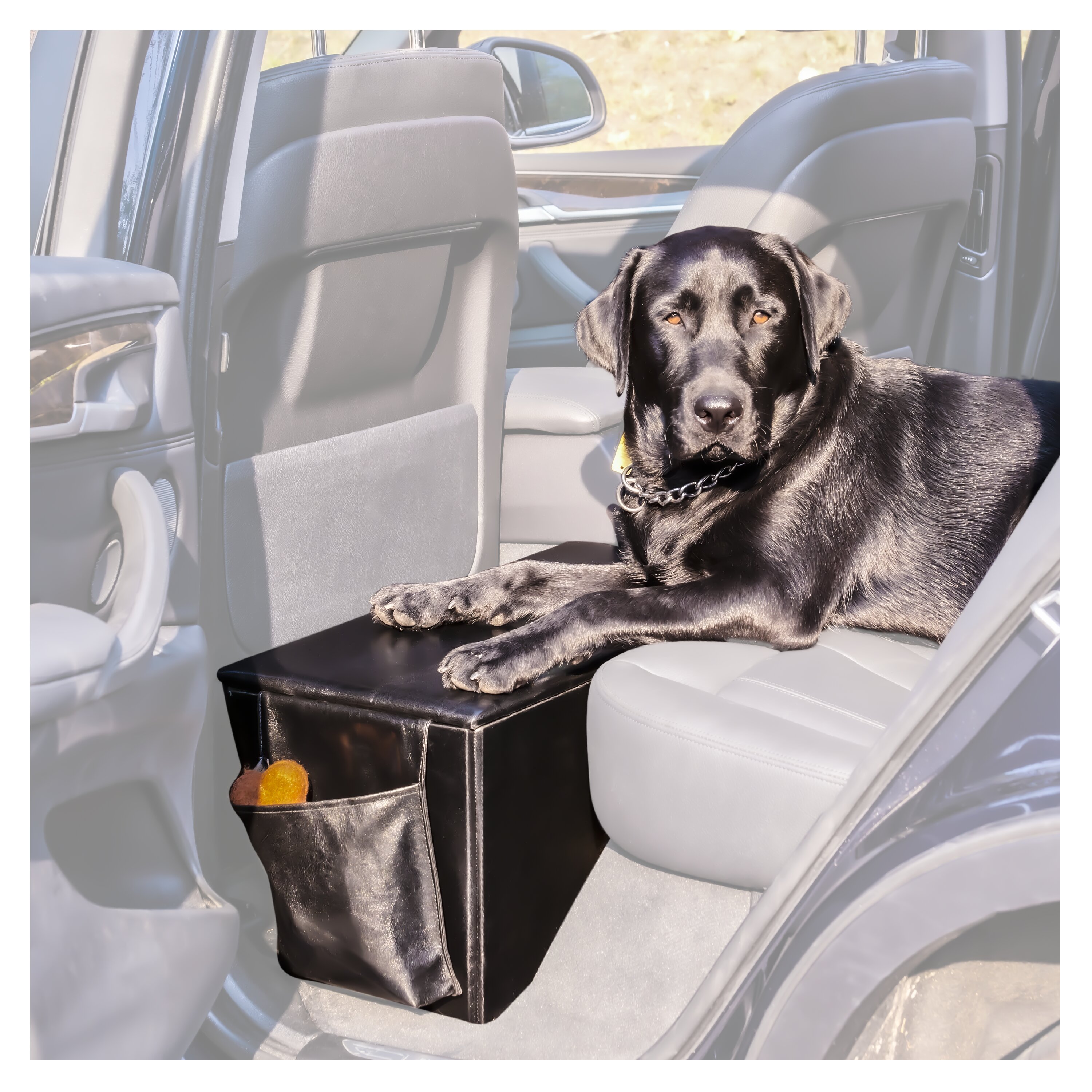 car seat extender for dogs