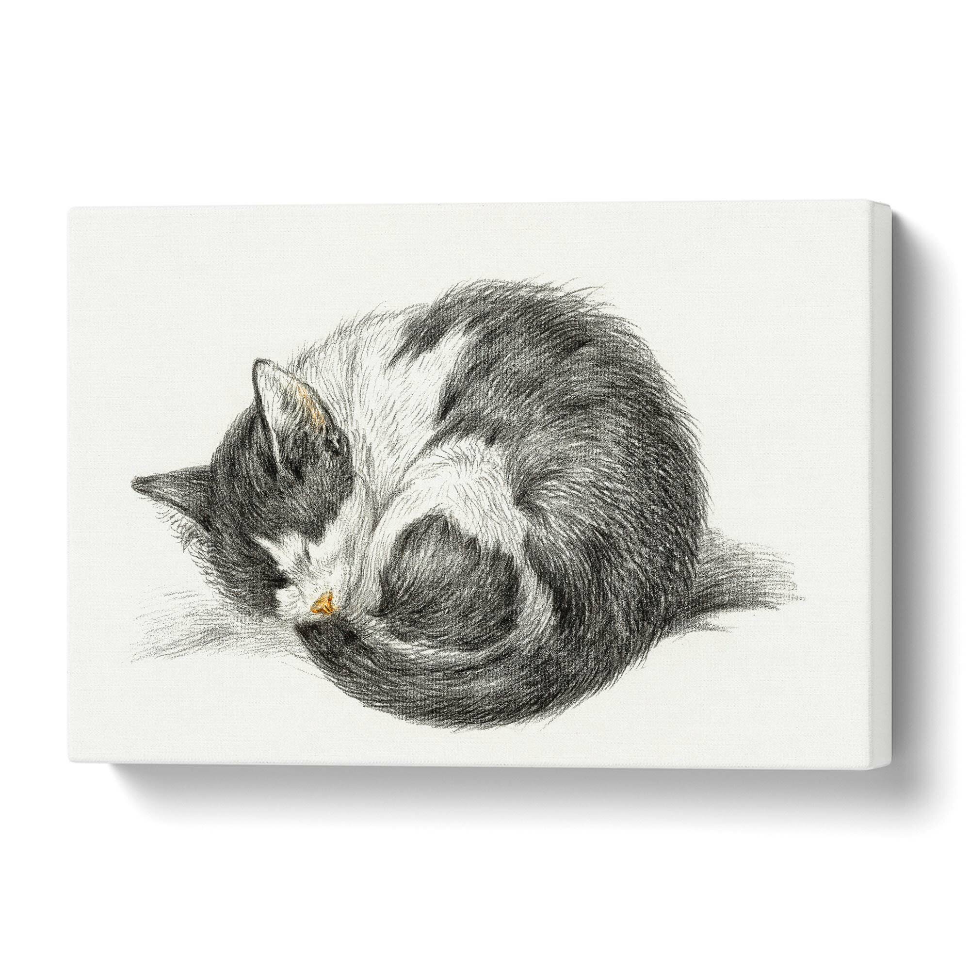 Schöne Katzenpfote Kohle Zeichnung Effekt Leinwandbild Wanddeko Kunstdruck