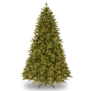 7.5' Green Scranton Fir Artificial Christmas Tree with 750 Clear Lights and Stand