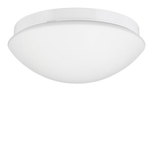 Viso 1 Light Outdoor Ceiling Light By 17 Stories