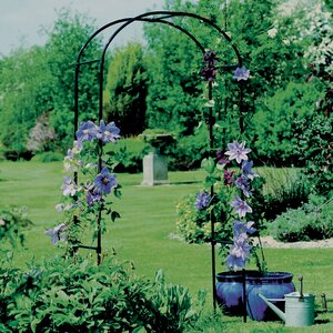 Rose Steel Arbor