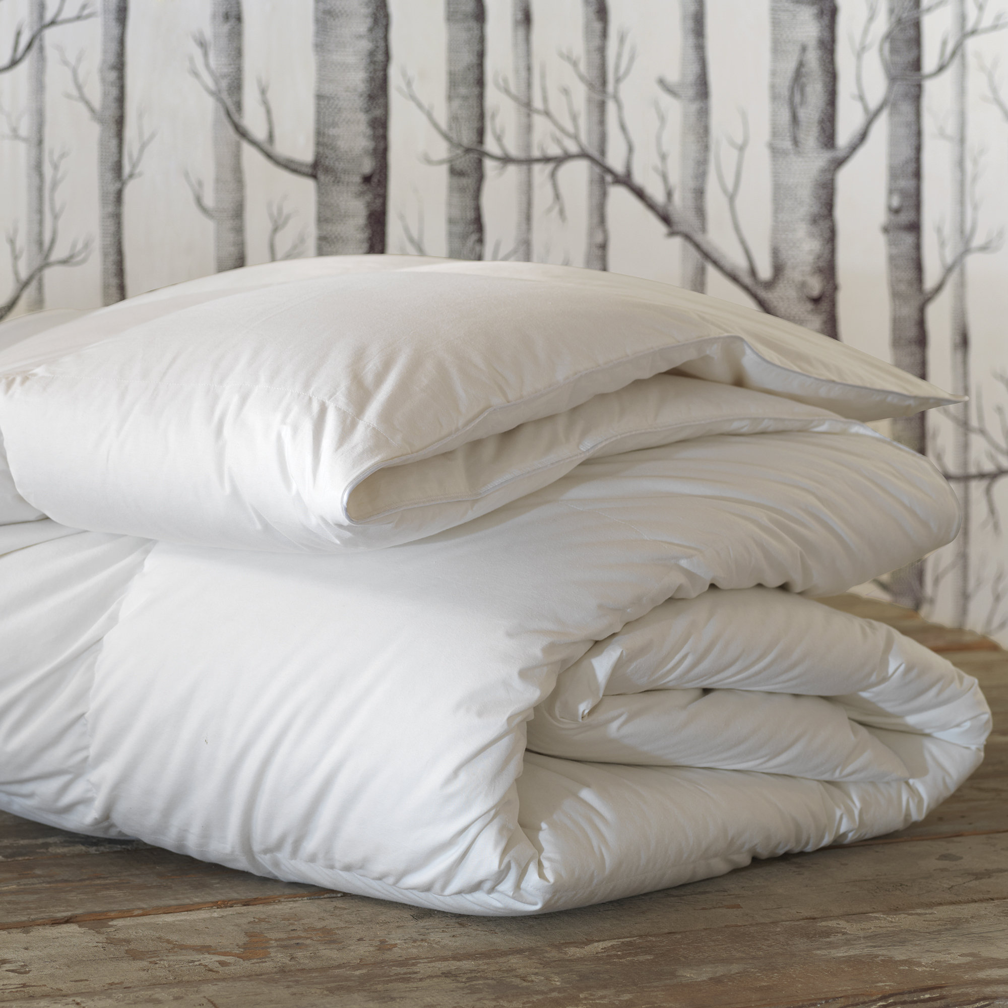 Eastern Accents Concerto Premier Summer Down Comforter Wayfair