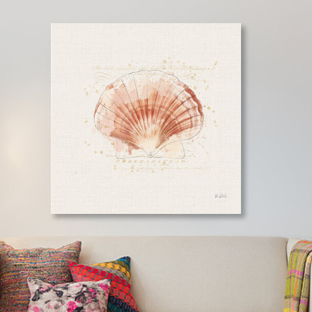 East Urban Home Shell Collector Iv Graphic Art Print On Wrapped Canvas Wayfair