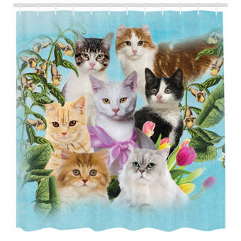 Harriet Bee Rohan Paisley India Style Cat Shower Curtain Hooks