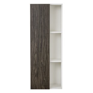Modern Contemporary Slim Wall Cabinet Allmodern