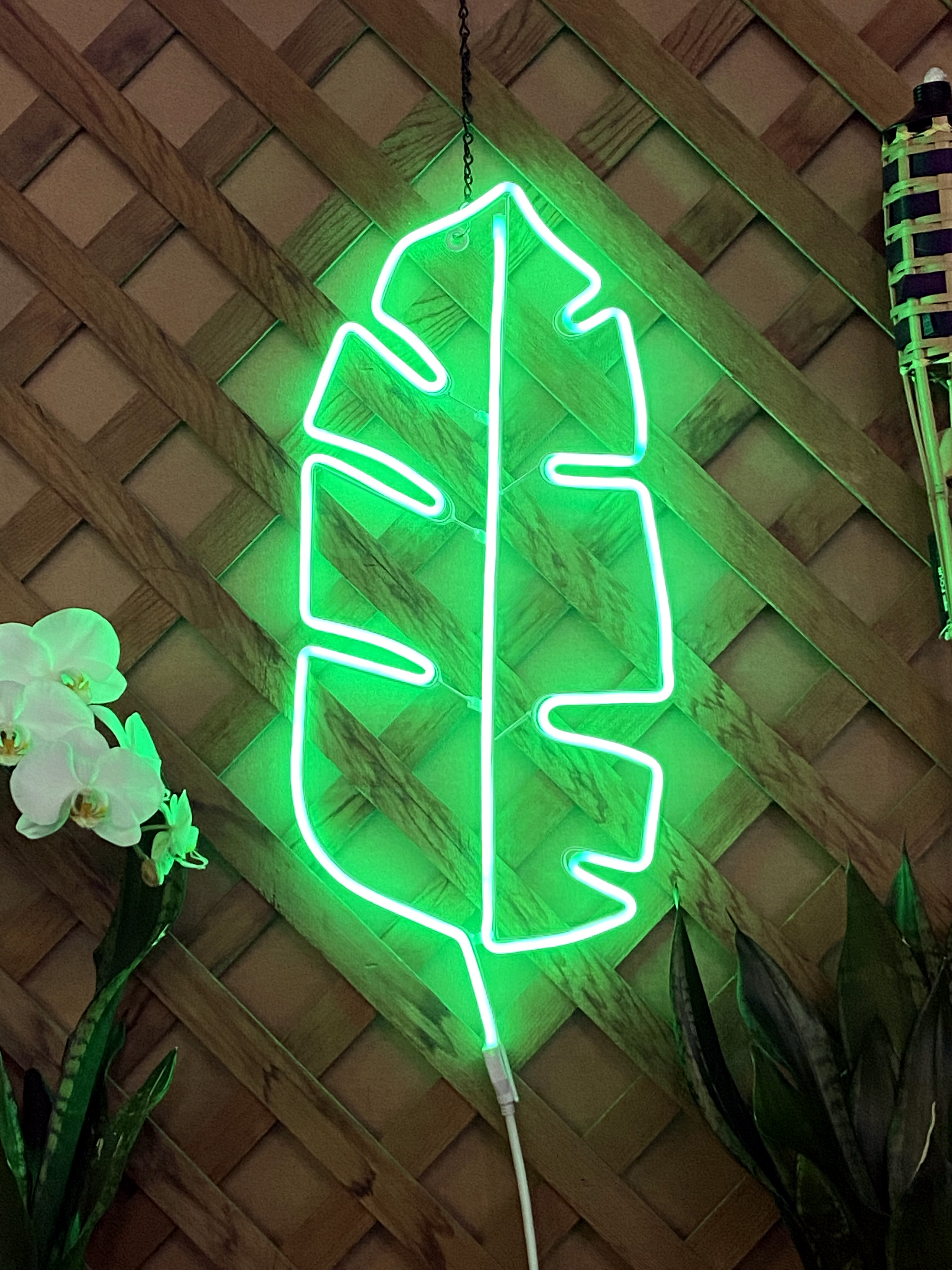 tropical neon light