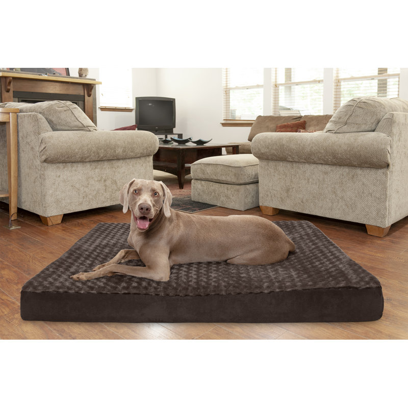Boris Ultra Plush Cooling Gel Foam Pillow Reviews Joss Main