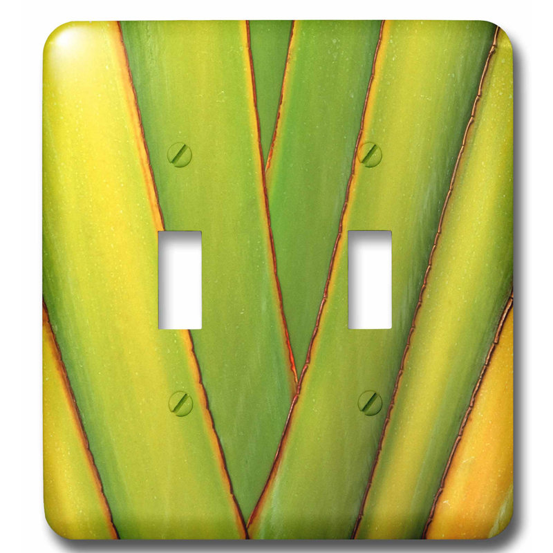 3drose Hawaii Big Island Tropical Plant Abstract 2 Gang Toggle Light Switch Wall Plate Wayfair