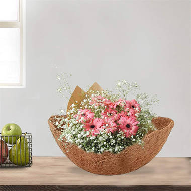 Details about   2pcs Mat Thick Coconut Fiber Garden Planter Hanging Basket Liner Home Flower Pot 
