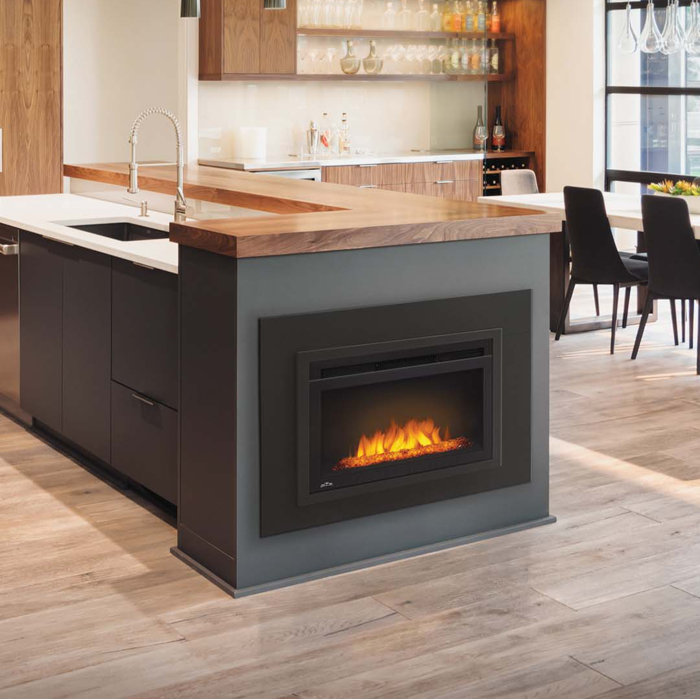 Napoleon Cinema Electric Fireplace Insert Wayfair Ca
