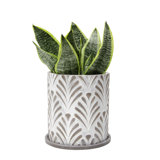 Brown Concrete Planters You Ll Love In 2021 Wayfair