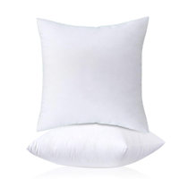 20 inch down pillow insert