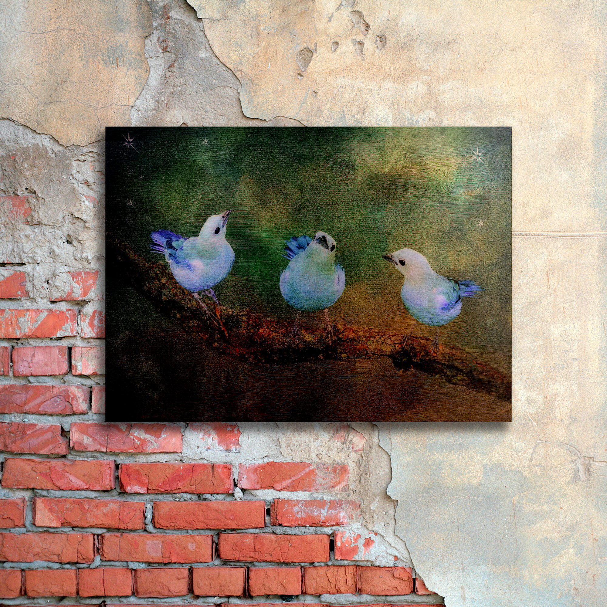 W "Birds Skylight" By Parvez Taj Printed Brushed Aluminum Wall H X 36 In 18 In 
