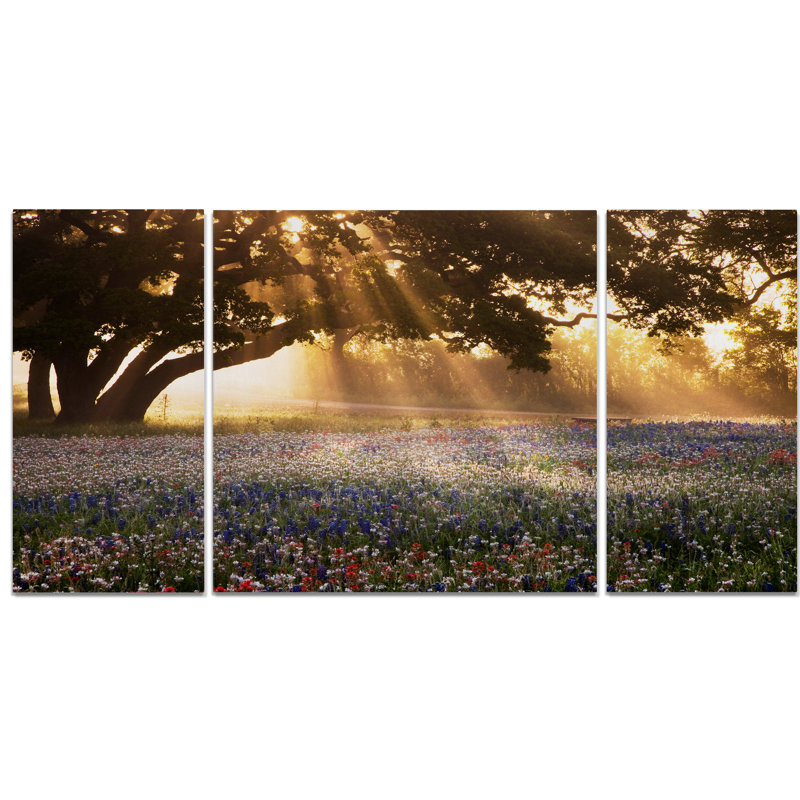 Millwood Pines A Premium Morning Meadow Sunrise Graphic Art Print