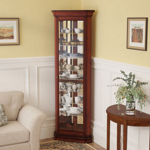 Dark Display Cabinets Wayfair Nancy Lighted Corner Curio Cabinet