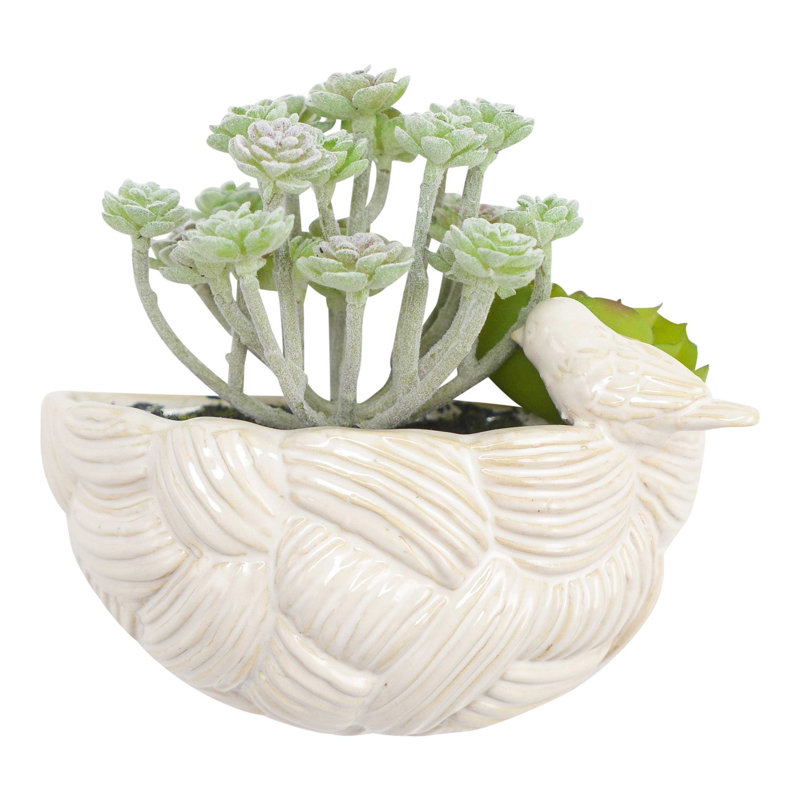 Hallmark Home Gifts Honeycutt Bird S Nest Hanging Ceramic Wall Honeycutt Bird S Nest Hanging Ceramic Wall Planter