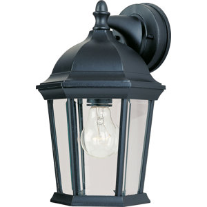 Harpe 1-Light Outdoor Wall Lantern