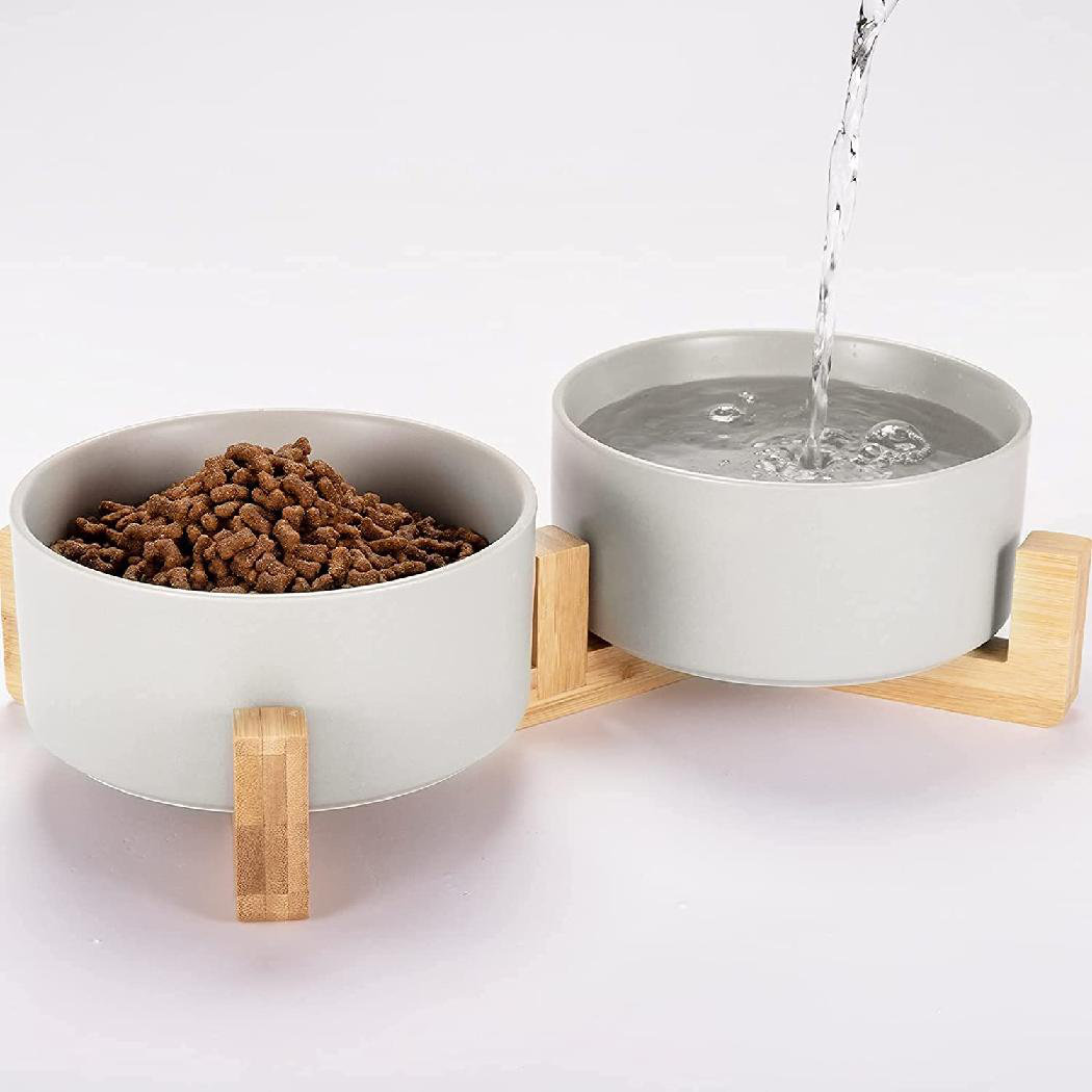 ceramic dog bowl set