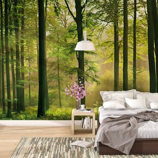 enchanted forest wall mural wayfair euan autumn forest wall mural