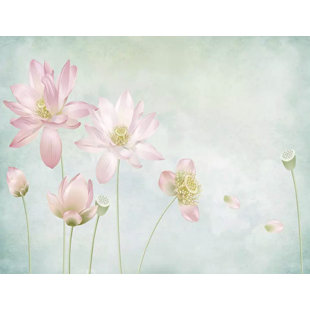 lotus flower wallpaper you ll love in