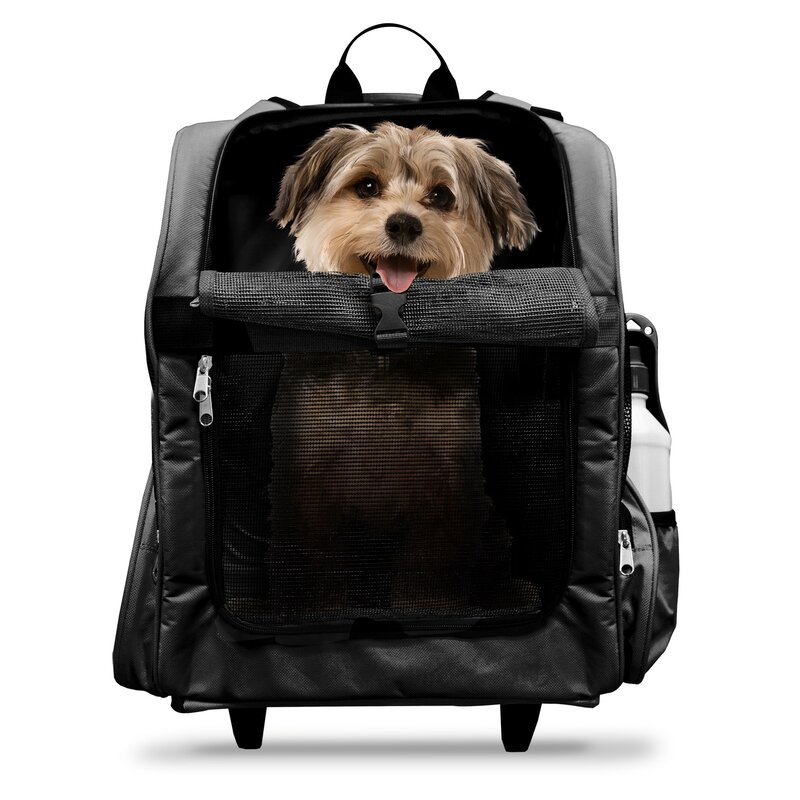 roller dog carrier