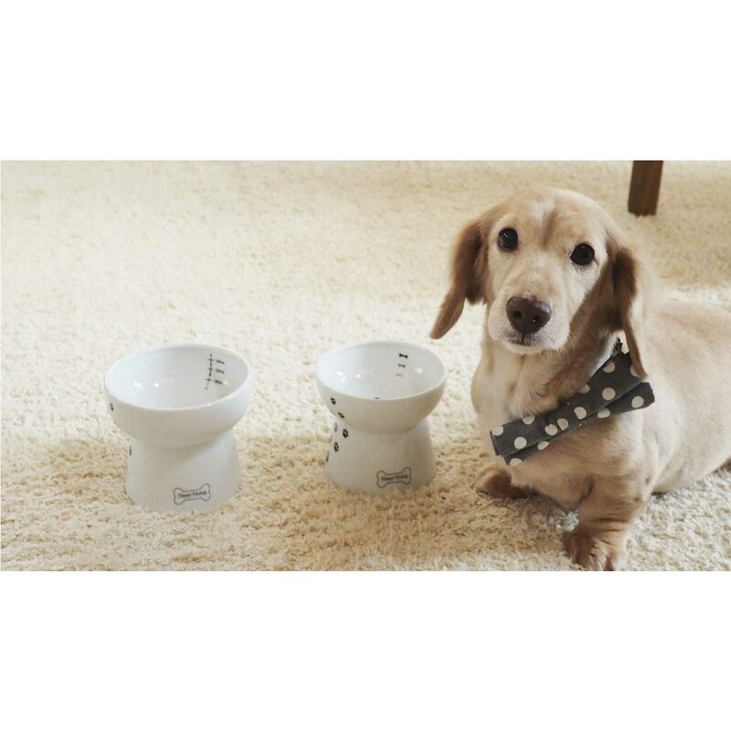 dog food and water bowl