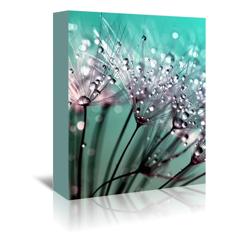East Urban Home Dandelion Flower With Water Drops Graphic Art On Wrapped Canvas Reviews Wayfair