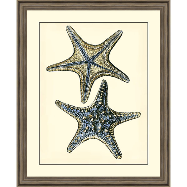 Blue Starfish Wayfair