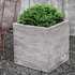 Campania International, Inc Chenes Brut Cast Stone Planter Box | Perigold