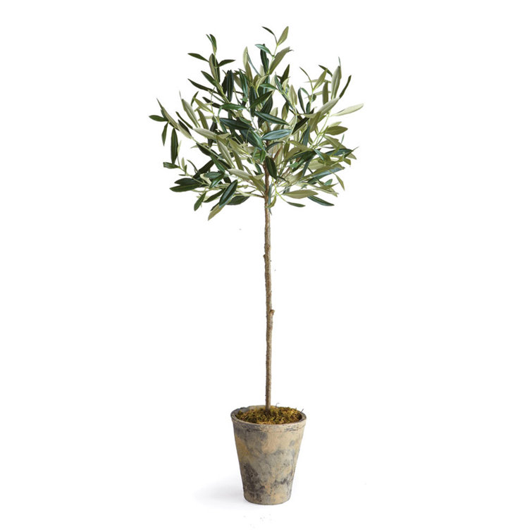 Beachcrest Home Artificial Olive Tree in Planter & Reviews Wayfair.ca