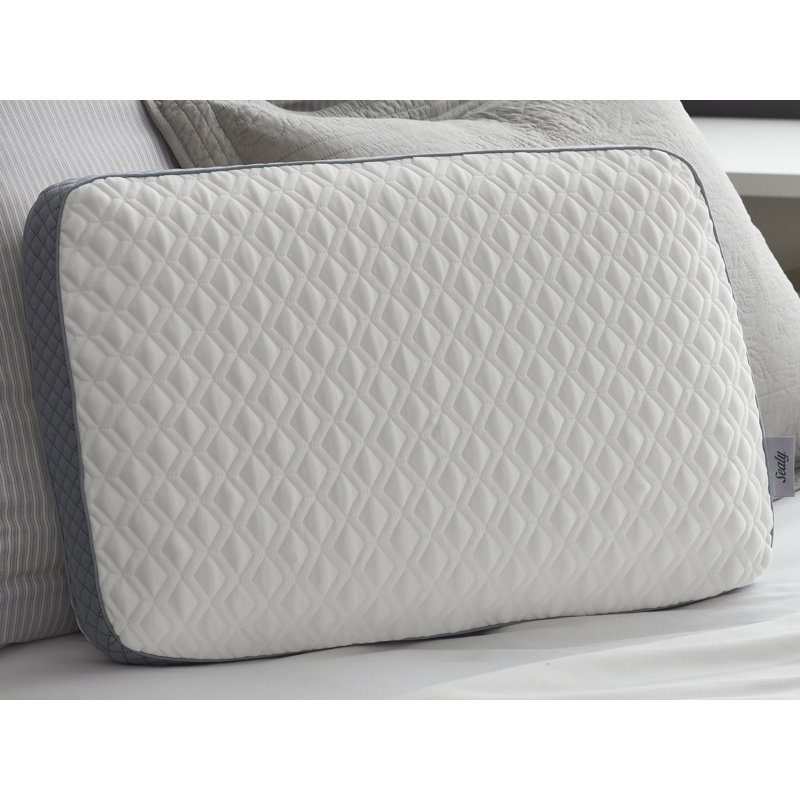 Sealy Memory Foam Medium Support Bed Pillow Reviews Wayfair