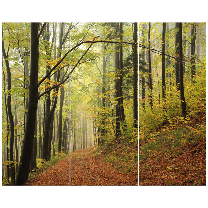 East Urban Home Forest Trail In The Fog Photographic Print Multi Piece Image On Wrapped Canvas Wayfair