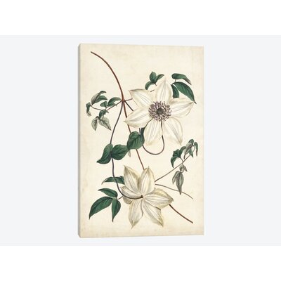 'Ivory Garden II' Print on Wrapped Canvas East Urban Home Size: 26