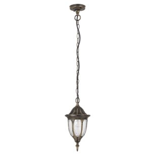 Bryant 1 Light Outdoor Hanging Lantern By Marlow Home Co.