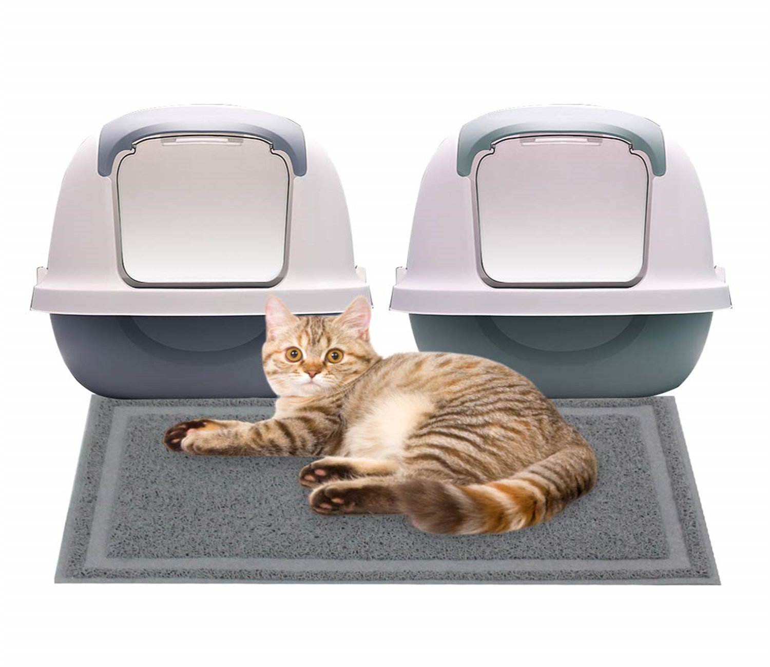 washable litter box