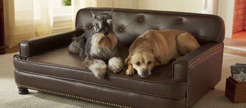 ruff and tuff dog bed