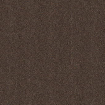 Mohawk Stowe Level Loop Glue Down Or Adhesive Tabs Carpet Tile Wayfair