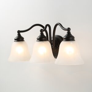 Proctorville 3-Light Vanity Light