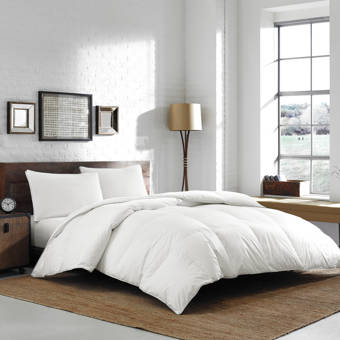 Lauren Ralph Lauren All Season Down Comforter Reviews Wayfair