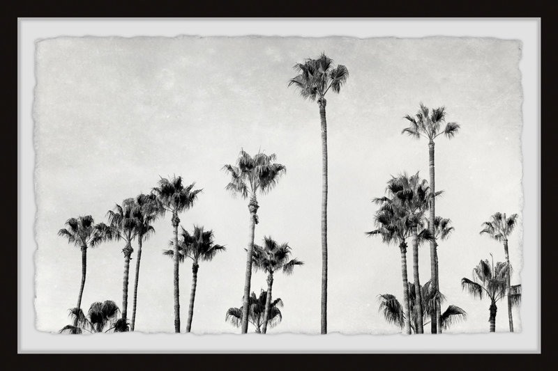 Mesut 'Palm Trees' - Picture Frame Photographic Print on Paper Format: Deckled Edge, Size: 12" H x 18" W x 1.5" D