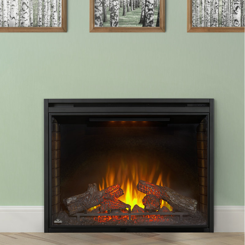 Napoleon Ascent Wall Mounted Electric Fireplace Insert Wayfair Ca