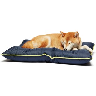 Turquoise Dog Bed Wayfair