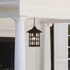 Carlsen 1-Light Outdoor Hanging Lantern